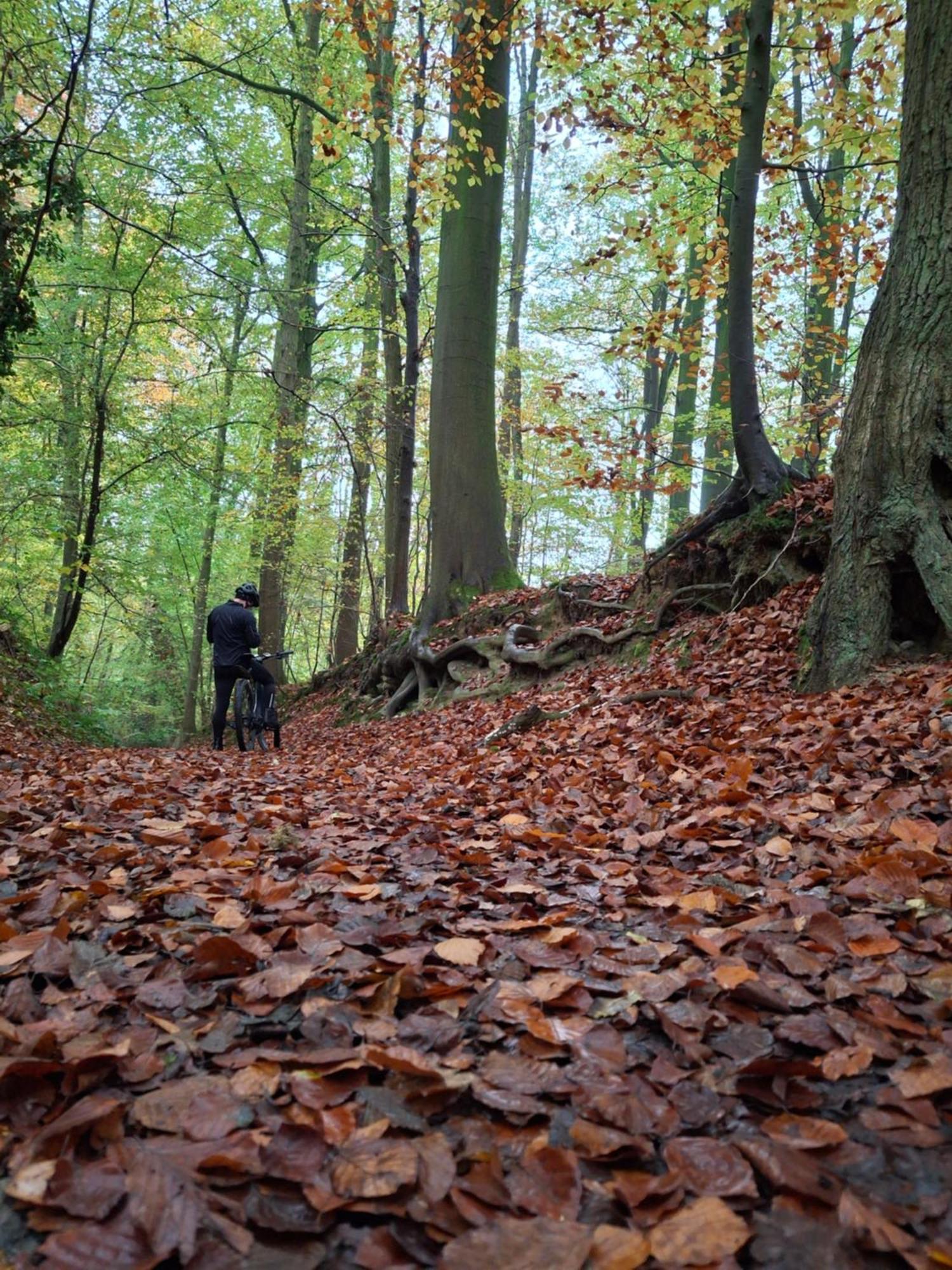 Op 'T Roth Villa Oudenaarde Kültér fotó