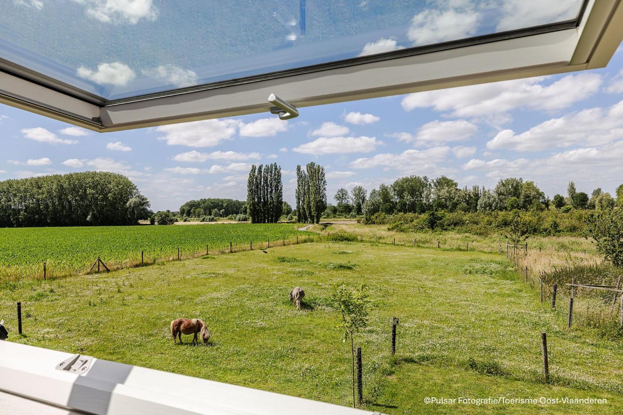 Op 'T Roth Villa Oudenaarde Kültér fotó
