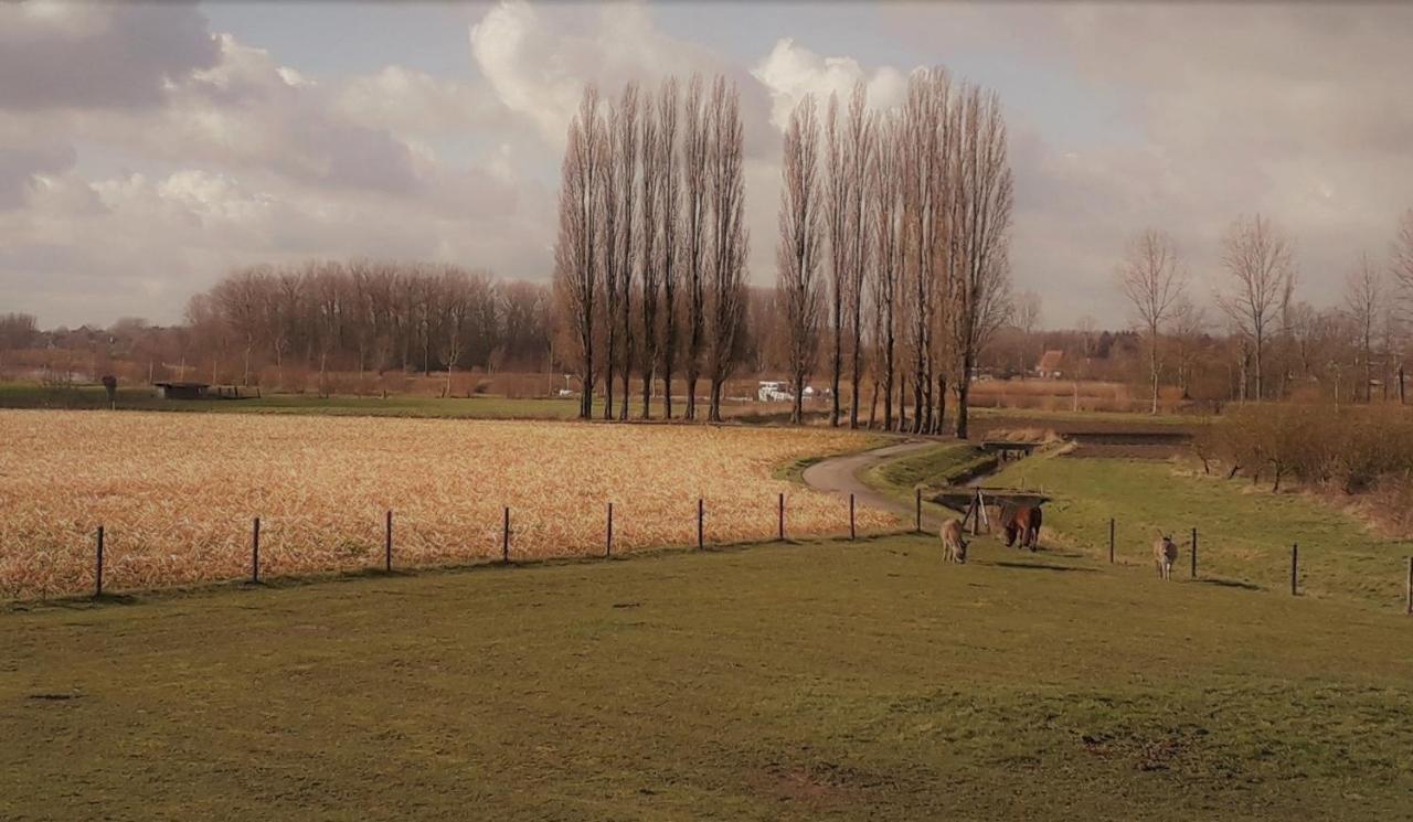 Op 'T Roth Villa Oudenaarde Kültér fotó
